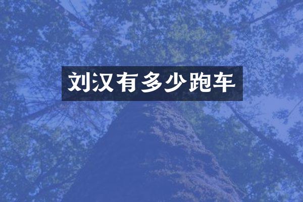 刘汉有多少跑车