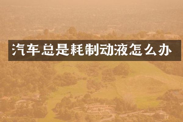 汽车总是耗制动液怎么办