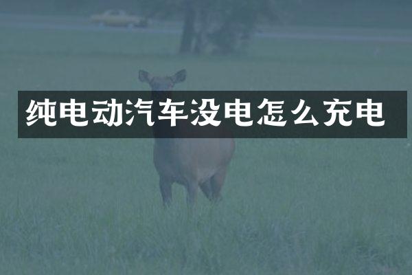 纯电动汽车没电怎么充电