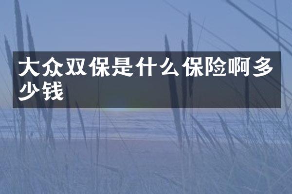 大众双保是什么保险啊多少钱