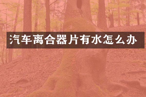 汽车离合器片有水怎么办