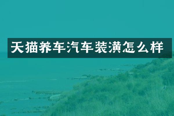 天猫养车汽车装潢怎么样