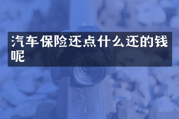 汽车保险还点什么还的钱呢