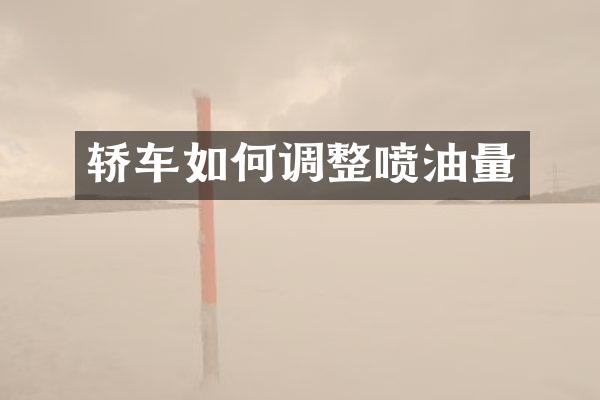 轿车如何调整喷油量