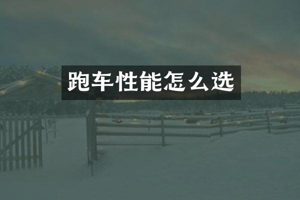 跑车性能怎么选