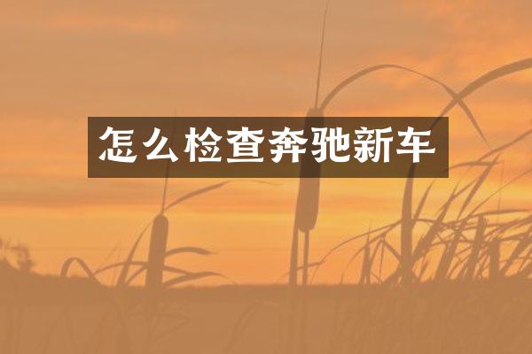 怎么检查奔驰新车