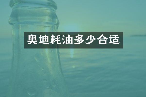 奥迪耗油多少合适