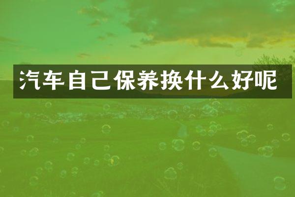 汽车自己保养换什么好呢