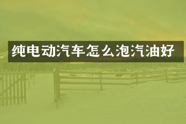 纯电动汽车怎么泡汽油好