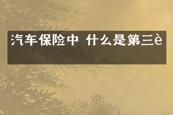汽车保险中 什么是第三者