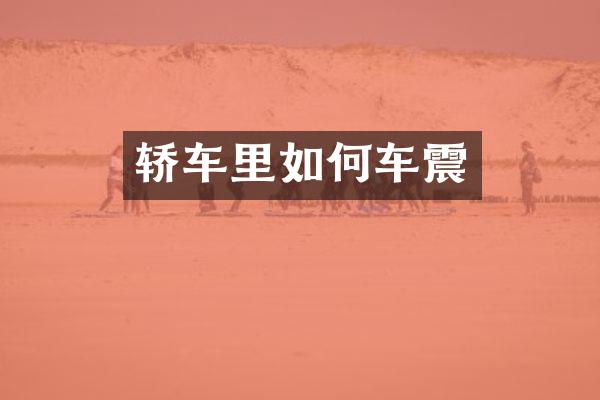 轿车里如何车震