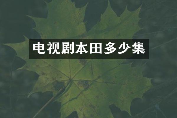 电视剧本田多少集