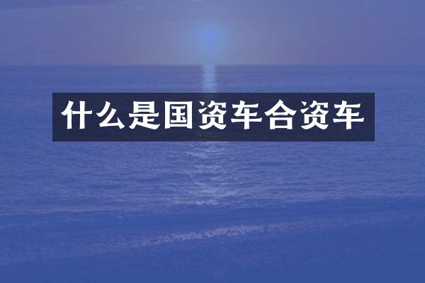 什么是国资车合资车