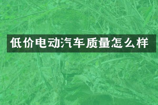 低价电动汽车质量怎么样