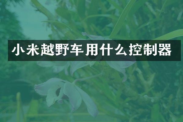 小米越野车用什么控制器