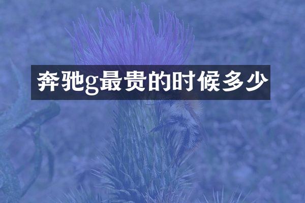 奔驰g最贵的时候多少