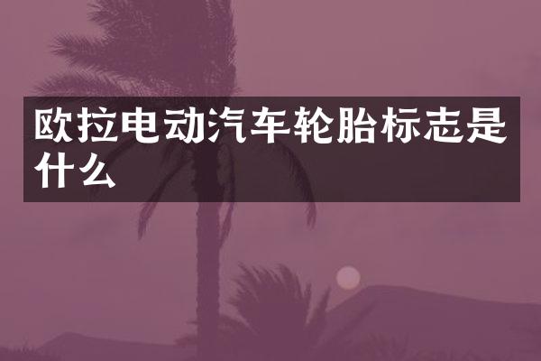 欧拉电动汽车轮胎标志是什么