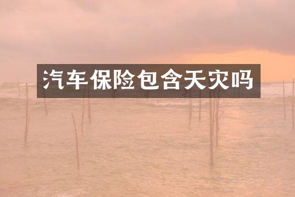 汽车保险包含天灾吗