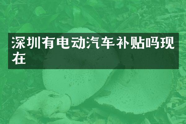 深圳有电动汽车补贴吗现在