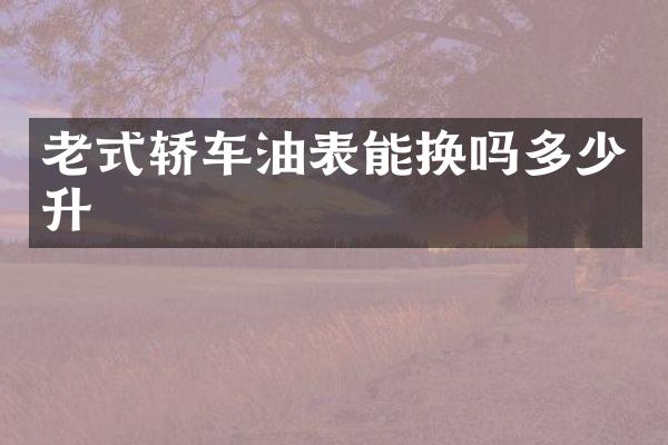 老式轿车油表能换吗多少升