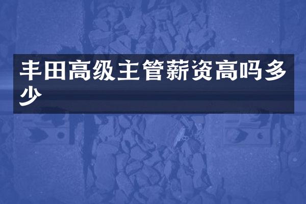 丰田高级主管薪资高吗多少