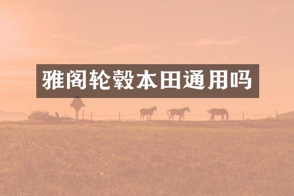 雅阁轮毂本田通用吗