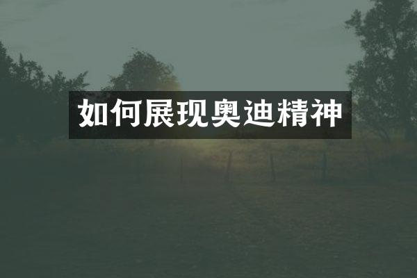 如何展现奥迪精神