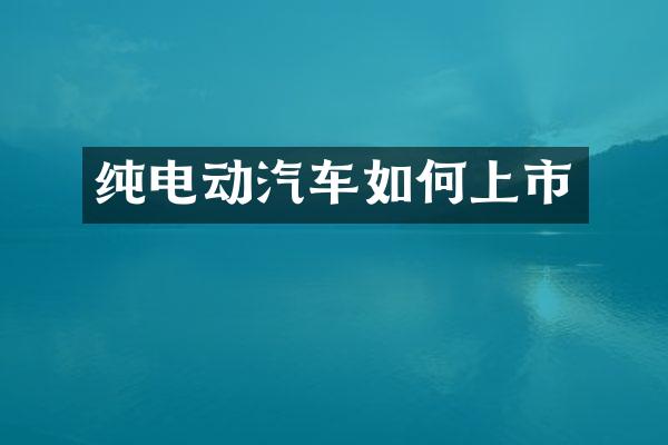 纯电动汽车如何上市
