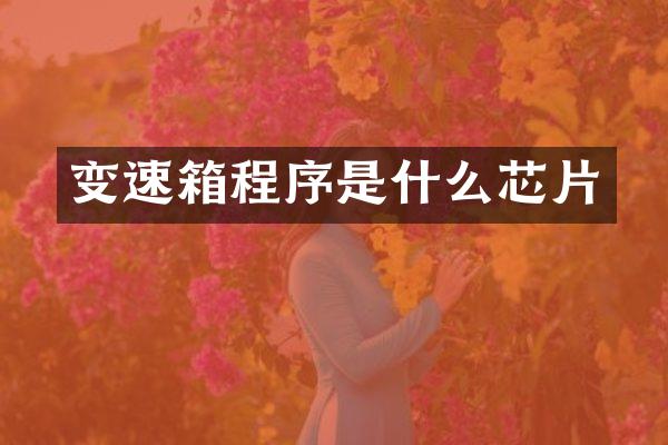 变速箱程序是什么芯片