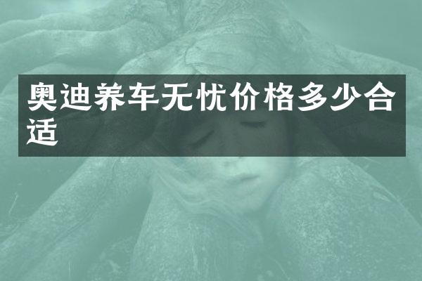 奥迪养车无忧价格多少合适