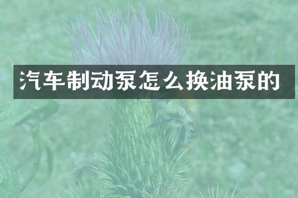 汽车制动泵怎么换油泵的