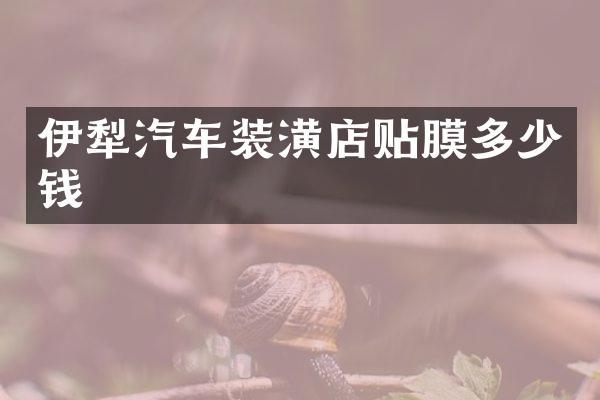 伊犁汽车装潢店贴膜多少钱