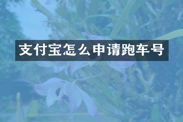 支付宝怎么申请跑车号