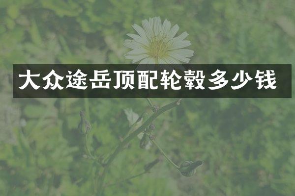 大众途岳顶配轮毂多少钱