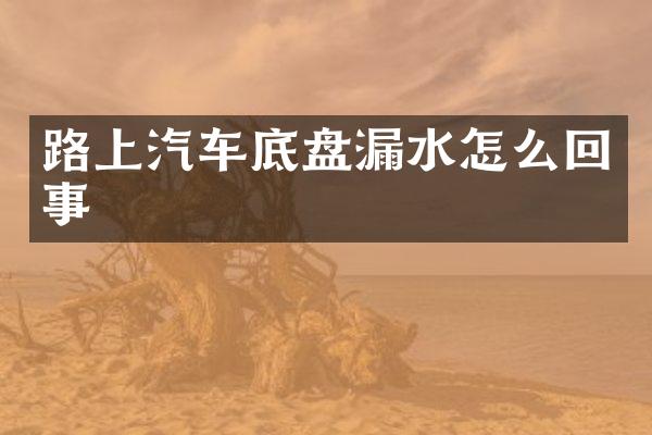 路上汽车底盘漏水怎么回事