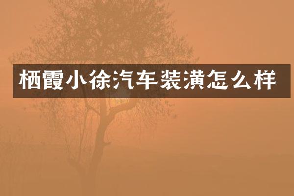 栖霞小徐汽车装潢怎么样