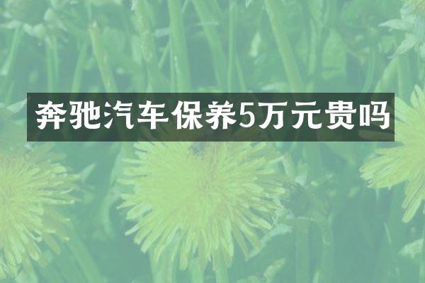 奔驰汽车保养5万元贵吗