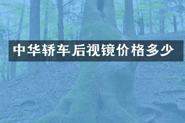 中华轿车后视镜价格多少