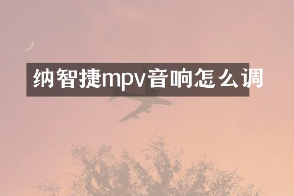 纳智捷mpv音响怎么调