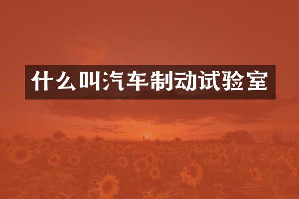 什么叫汽车制动试验室