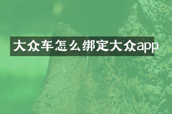 大众车怎么绑定大众app