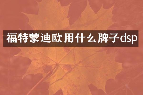 福特蒙迪欧用什么牌子dsp