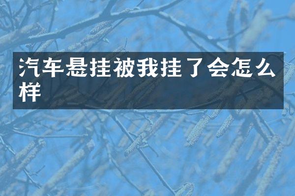 汽车悬挂被我挂了会怎么样