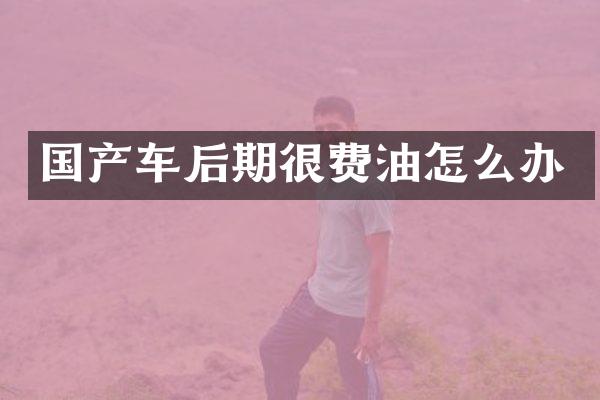 国产车后期很费油怎么办
