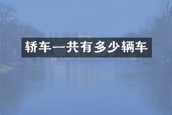 轿车一共有多少辆车