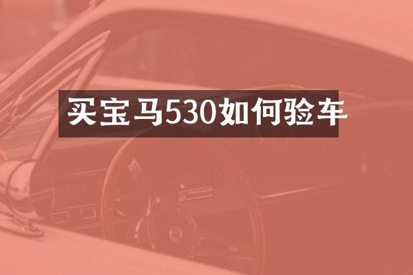 买宝马530如何验车