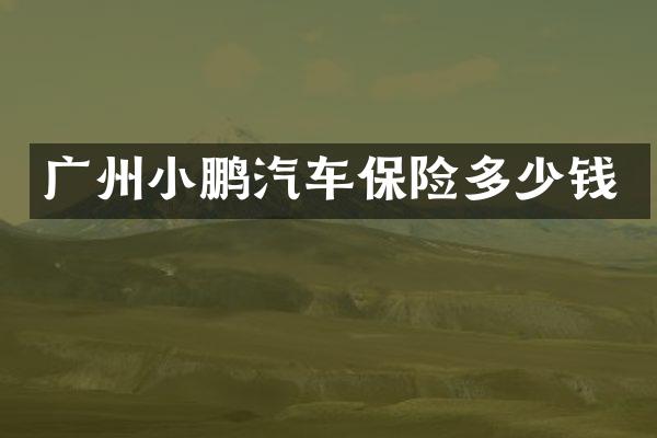 广州小鹏汽车保险多少钱