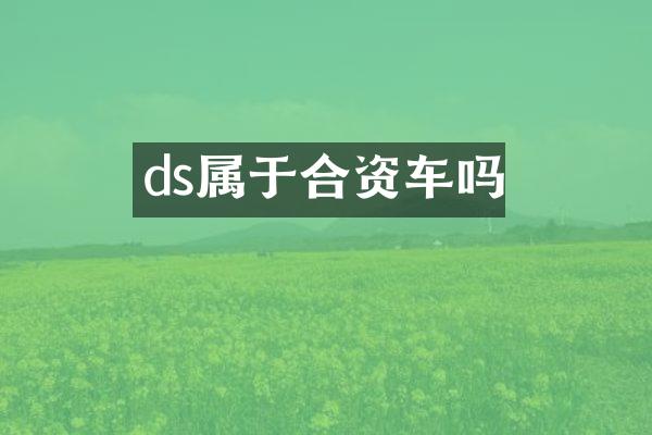 ds属于合资车吗