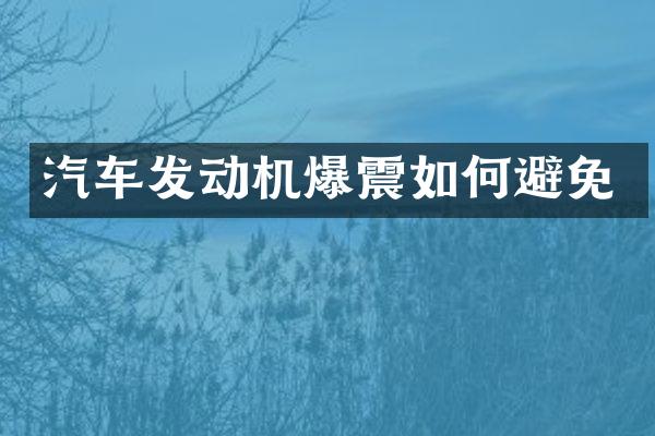 汽车发动机爆震如何避免