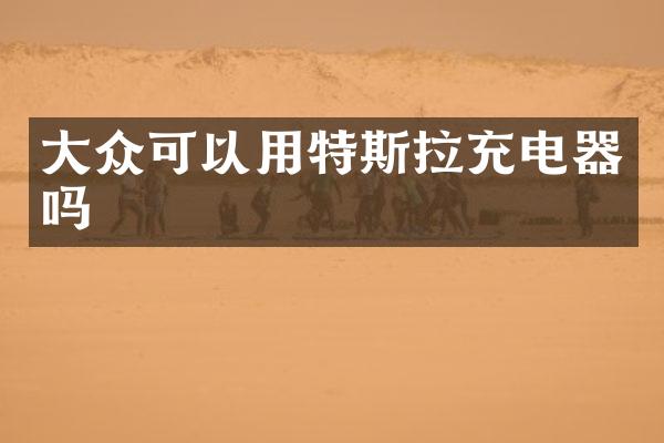 大众可以用特斯拉充电器吗